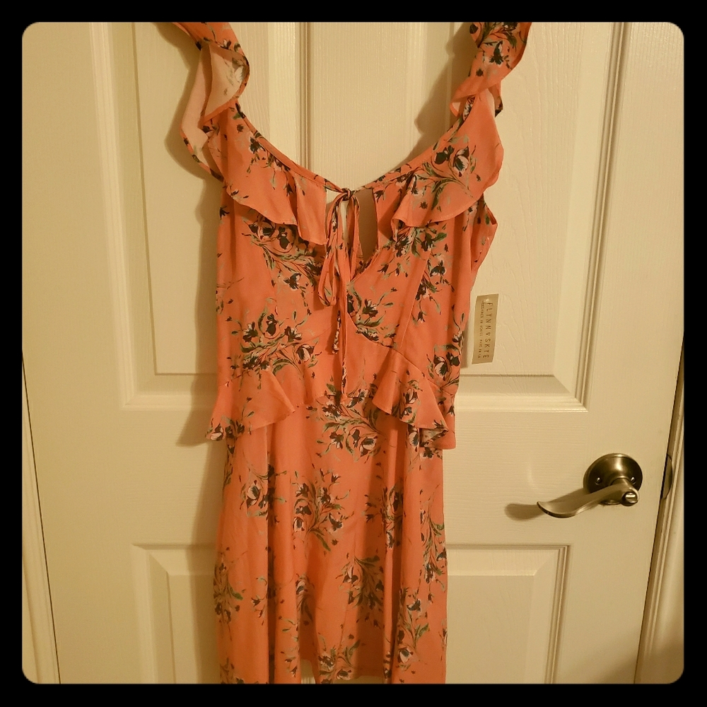 Flynn Skye dress